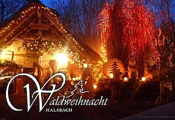 Märchenhafte Waldweihnacht in Halsbach